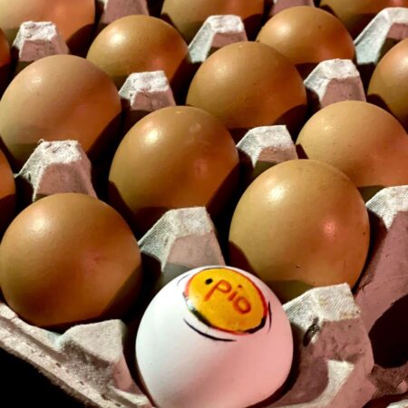 30 Fresh Eggs