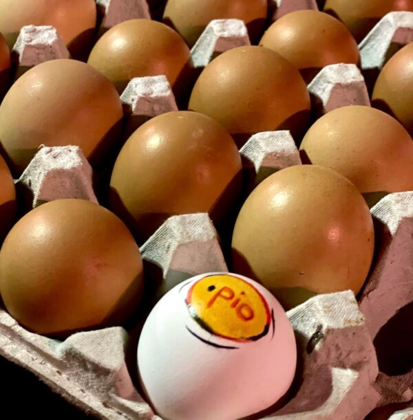 30 Fresh Eggs