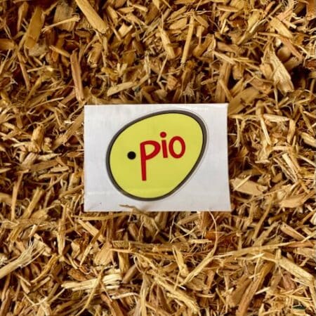 Punto Pio Sticker (2 - Pack)